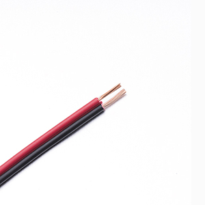 Black and Red Flat Speaker Cable